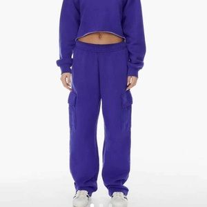 ARITZIA MEGA CARGO SWEATPANTS